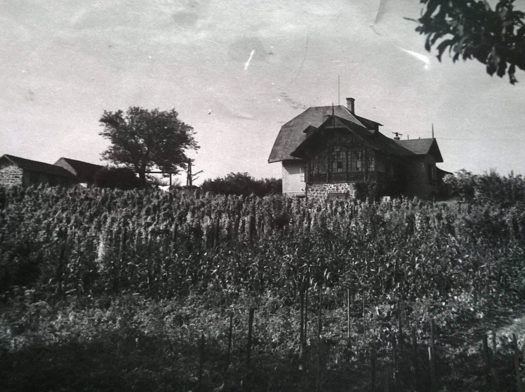 Veszprémi út 56