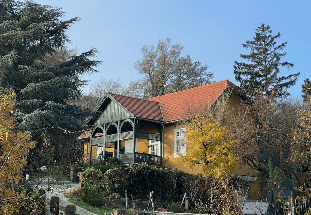 Ruszinkó villa (Szereday Leó)