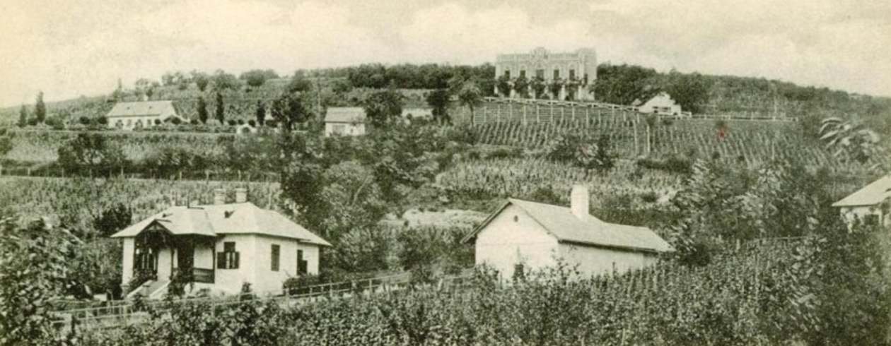 Szalay / Kis Jancsi villa