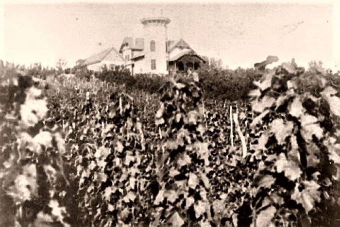 Véghely villa