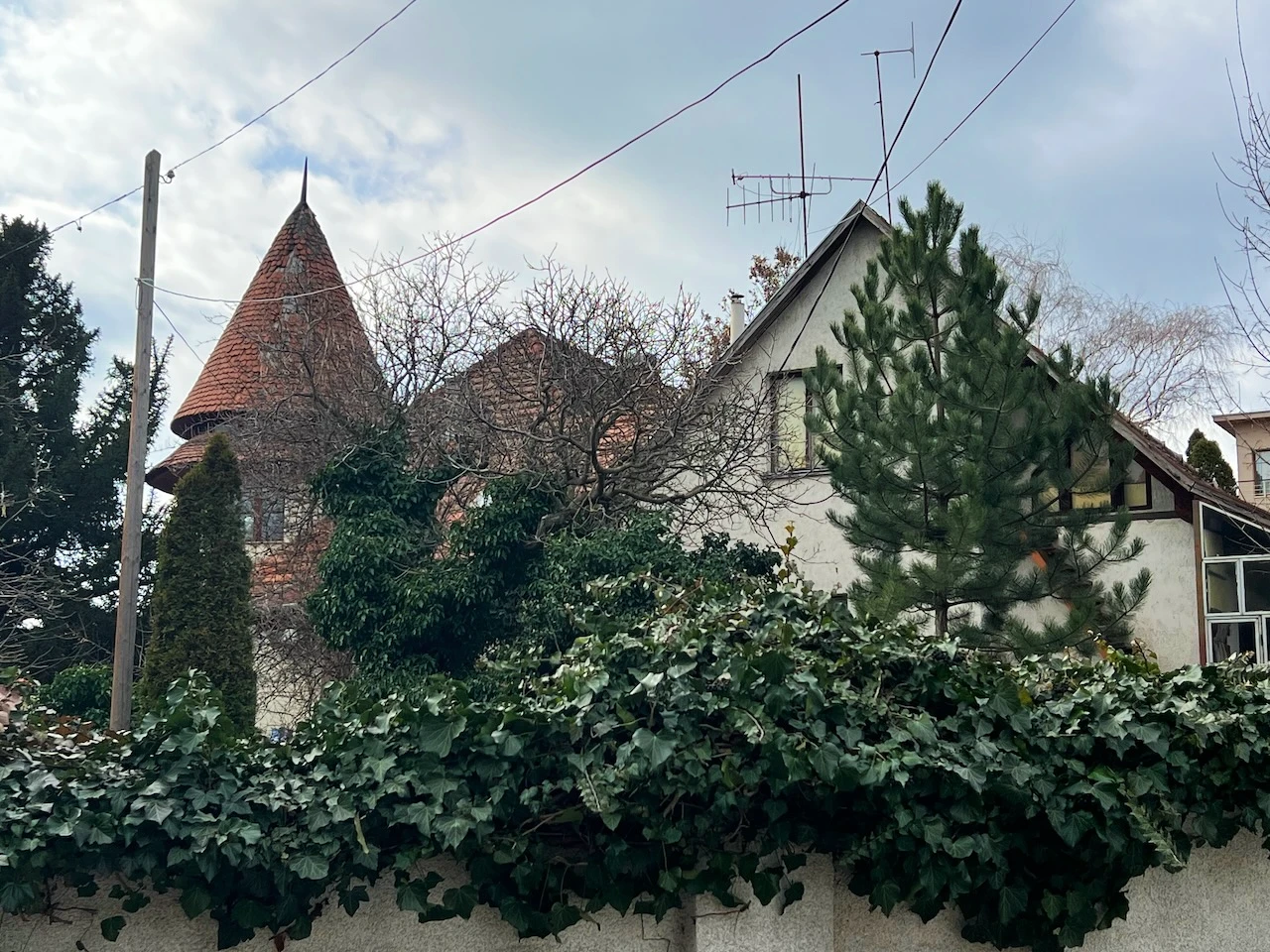 Weininger villa